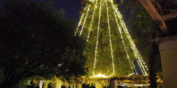 Festa Natale SOB 181213 211